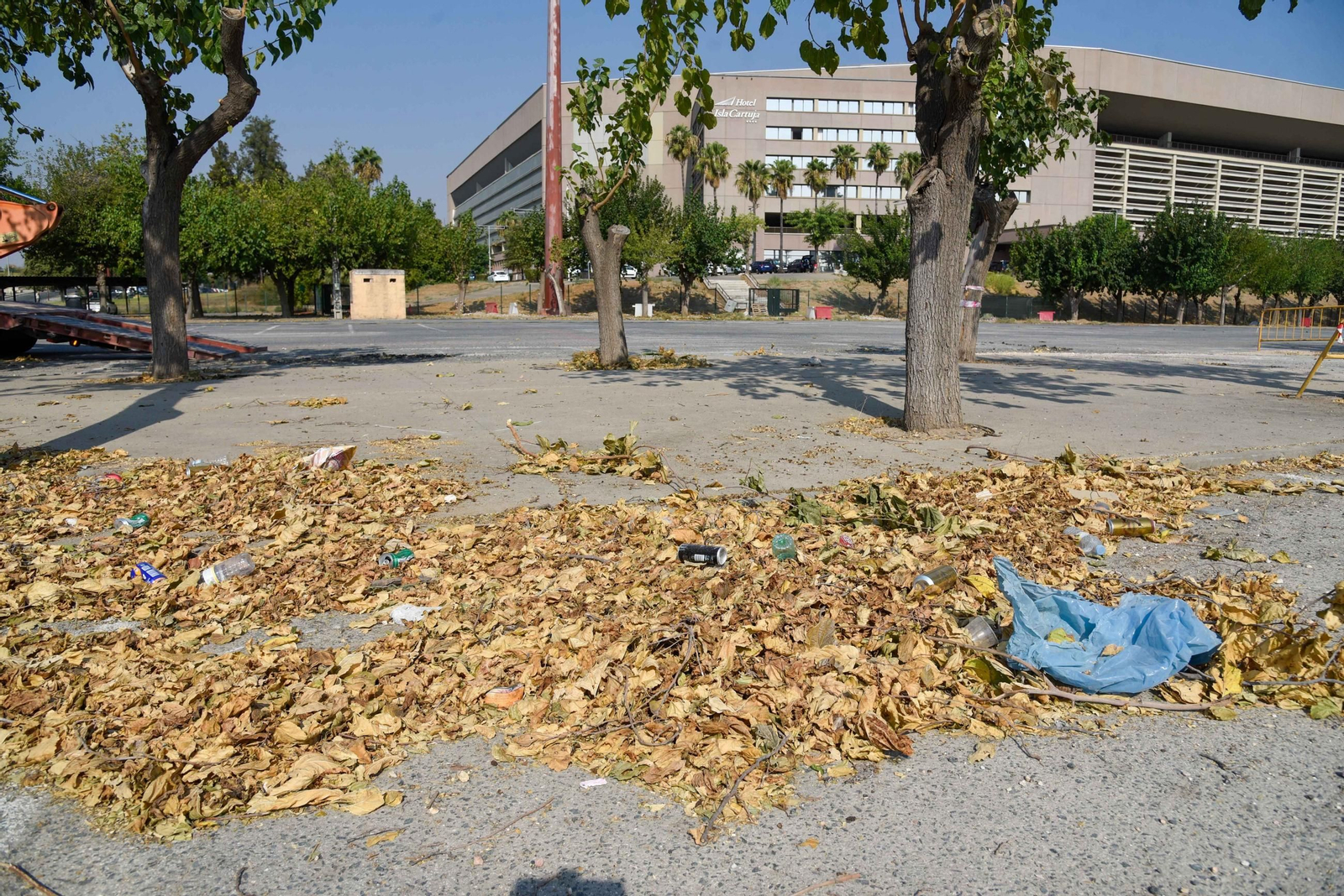 Imágenes del estado de la Cartuja el día antes del Betis - Alavés