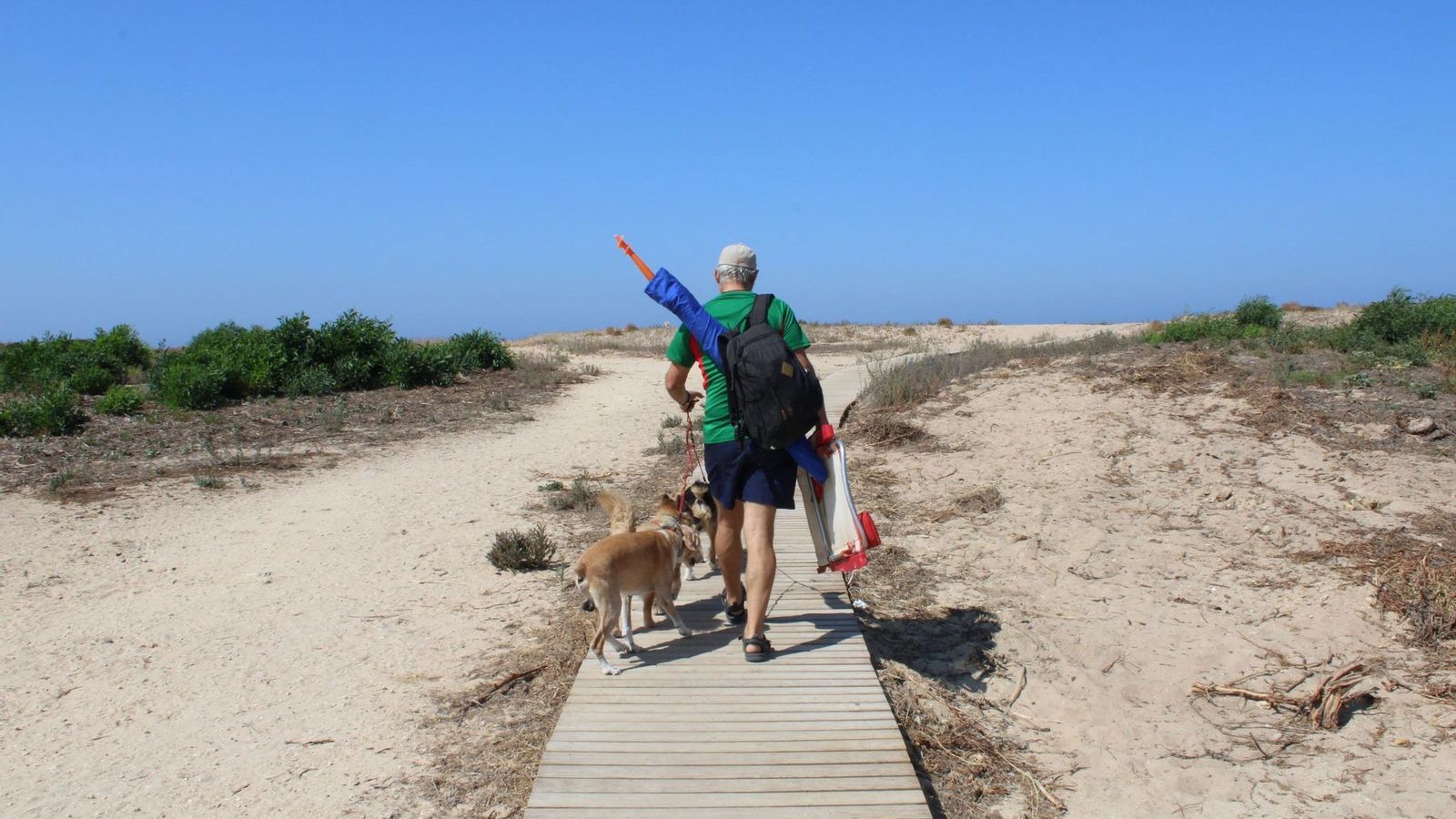 Pasarela de acceso a la playa canina de Chiclana Pasarela de acceso a la playa canina de Chiclana