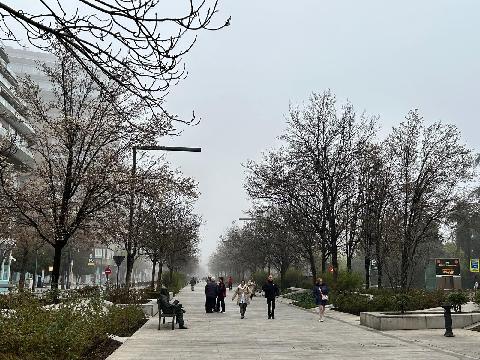 La niebla que ha cubierto Granada este jueves, en imágenes