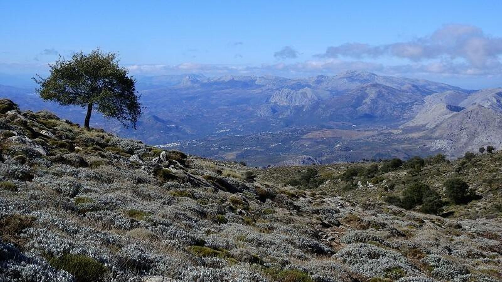 Un paisaje tan hermoso que como nos olvidemos la cámara o el móvil y no hagamos fotos... Un paisaje tan hermoso que como nos olvidemos la cámara o el móvil y no hagamos fotos...