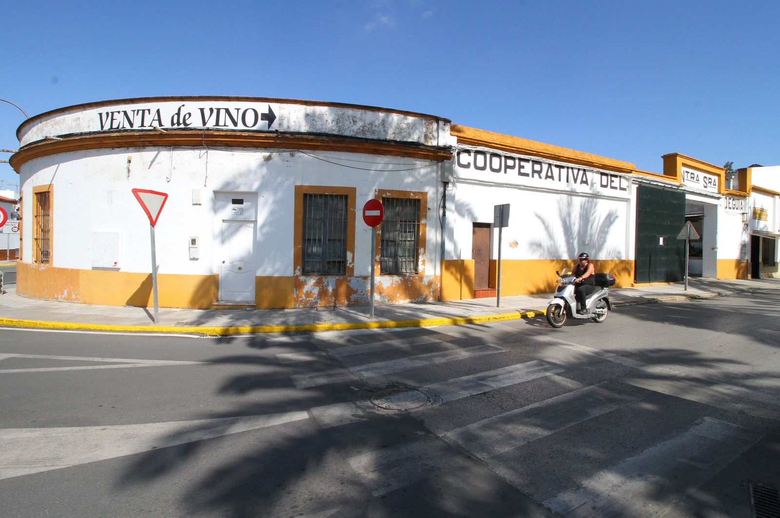 Imágenes de la vendimia en el Condado de Huelva.