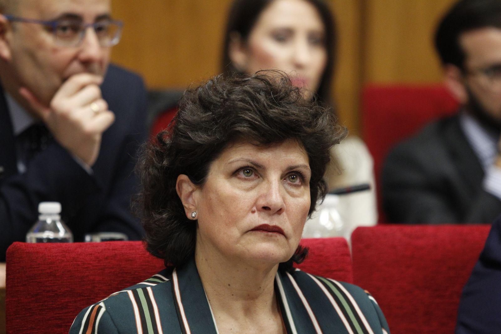 Fotogalería Pleno Ordinario Diputación de Almería