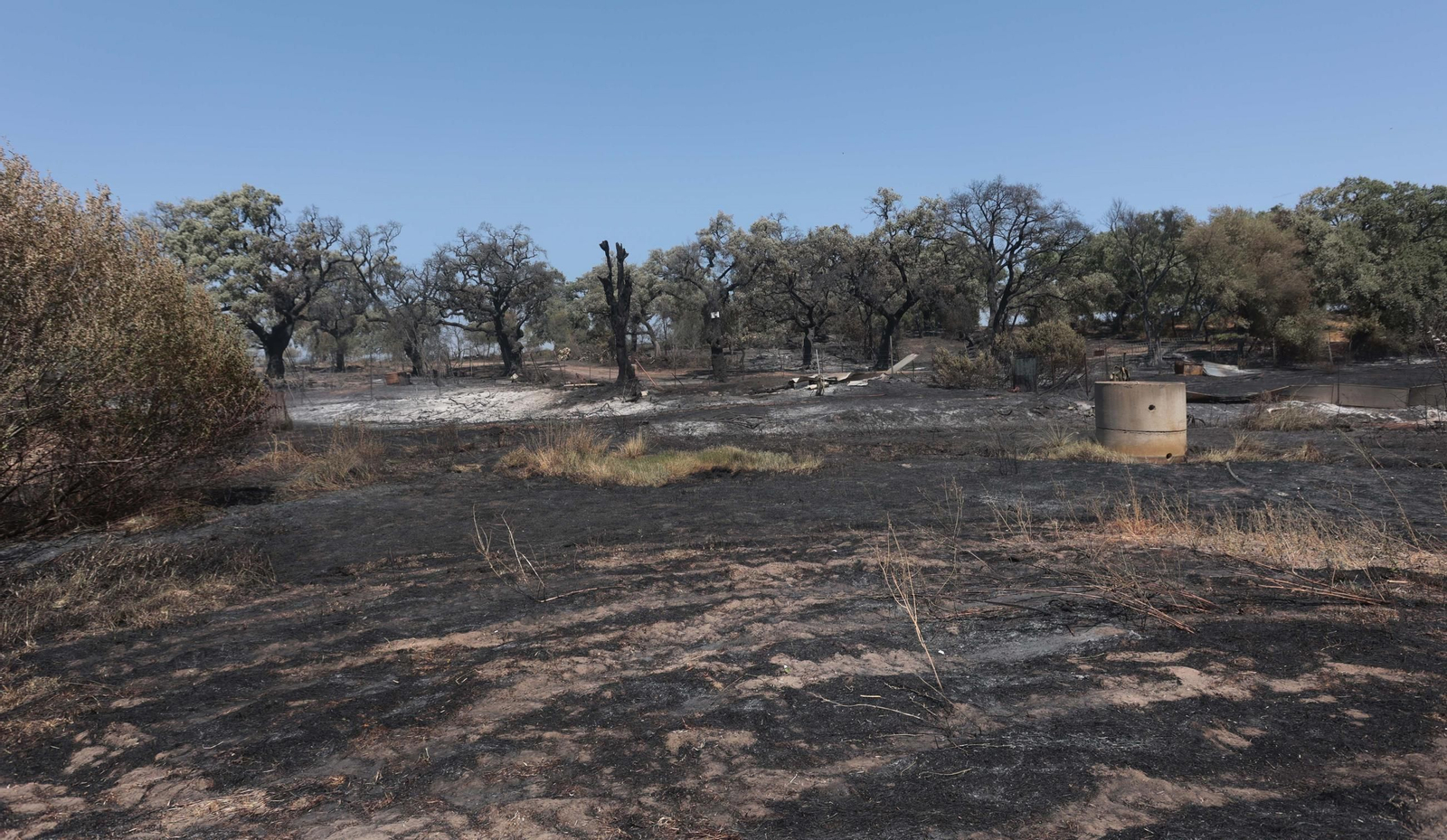 Imagen de la tierra quemada en el último incendio registrado en la zona rural de Jerez