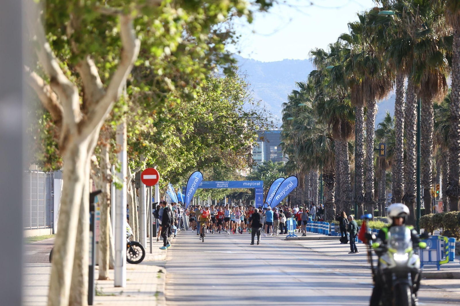 Las mejores fotos de la I Carrera Solidaria Mayoral de Málaga