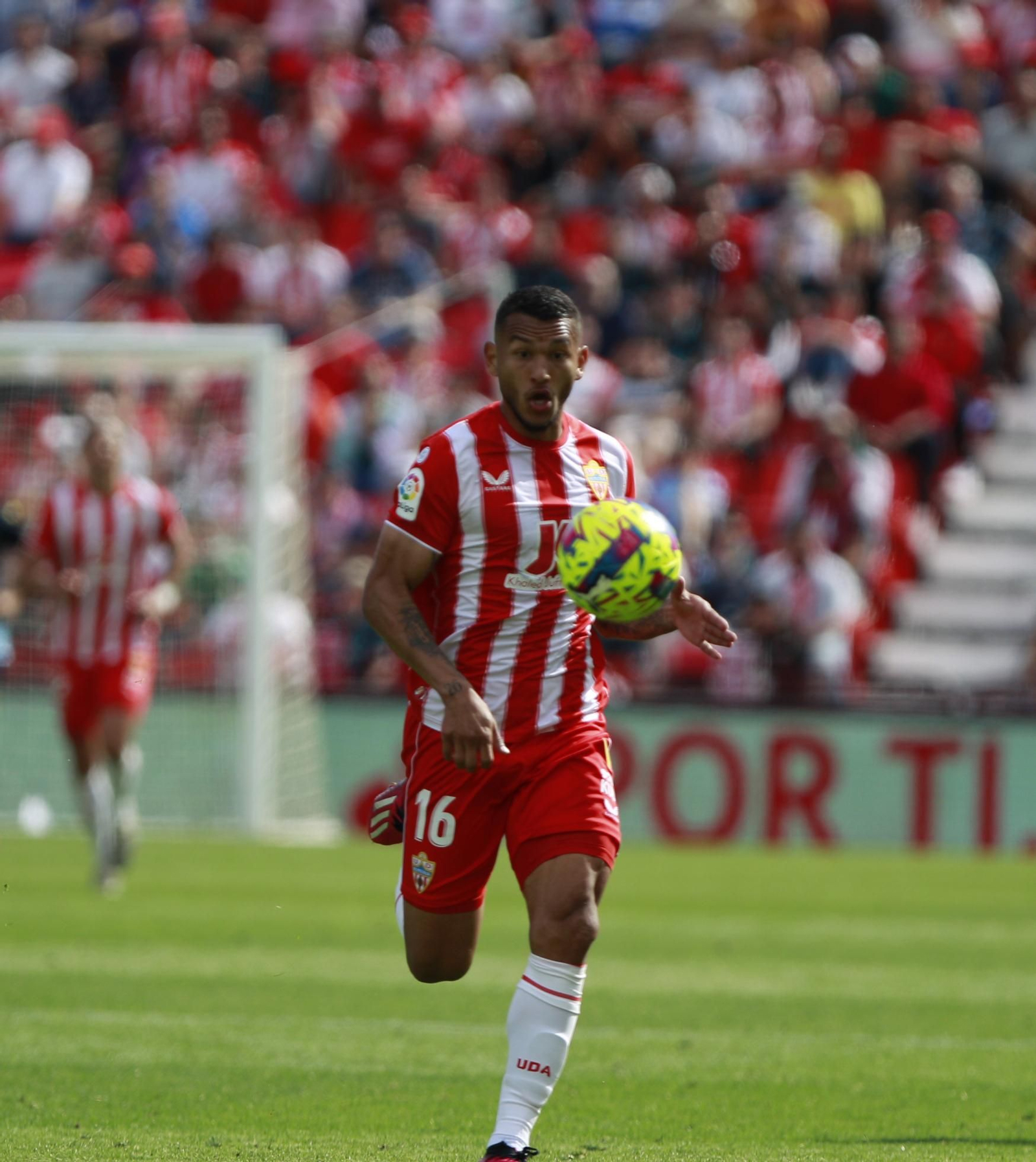 Imágenes del partido de la Liga Santander U.D. Almería-Cádiz C.F.