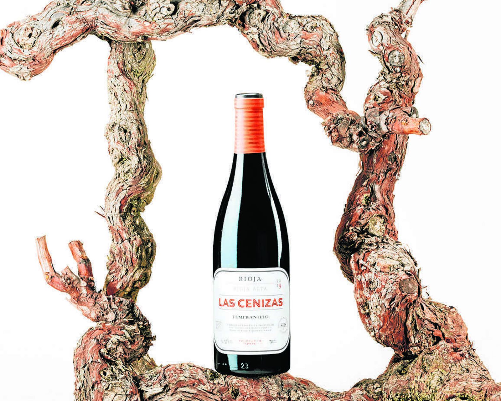 De ‘Las Cenizas’ renace el mejor vino de La Rioja