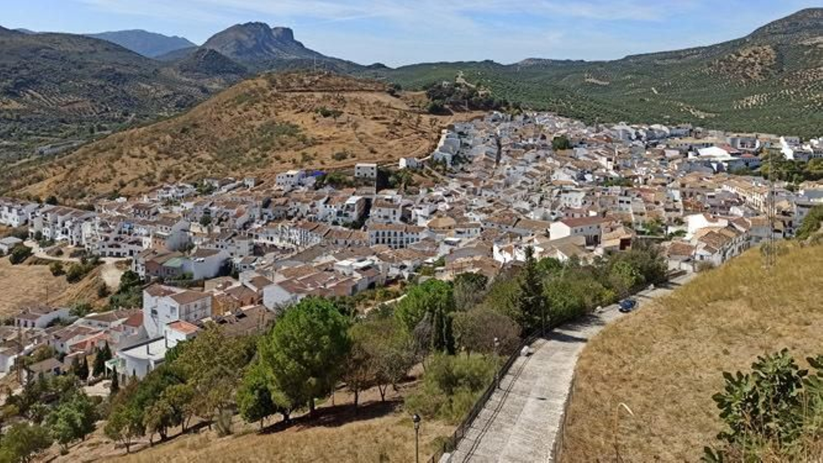 Membrillo en Carcabuey