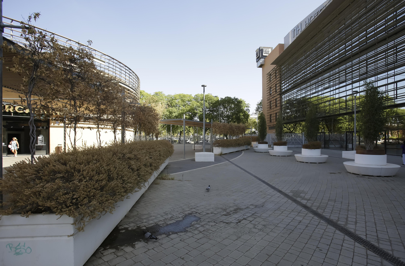 Abandono y mal estado de la plaza entre Mercadona y Plaza de Armas