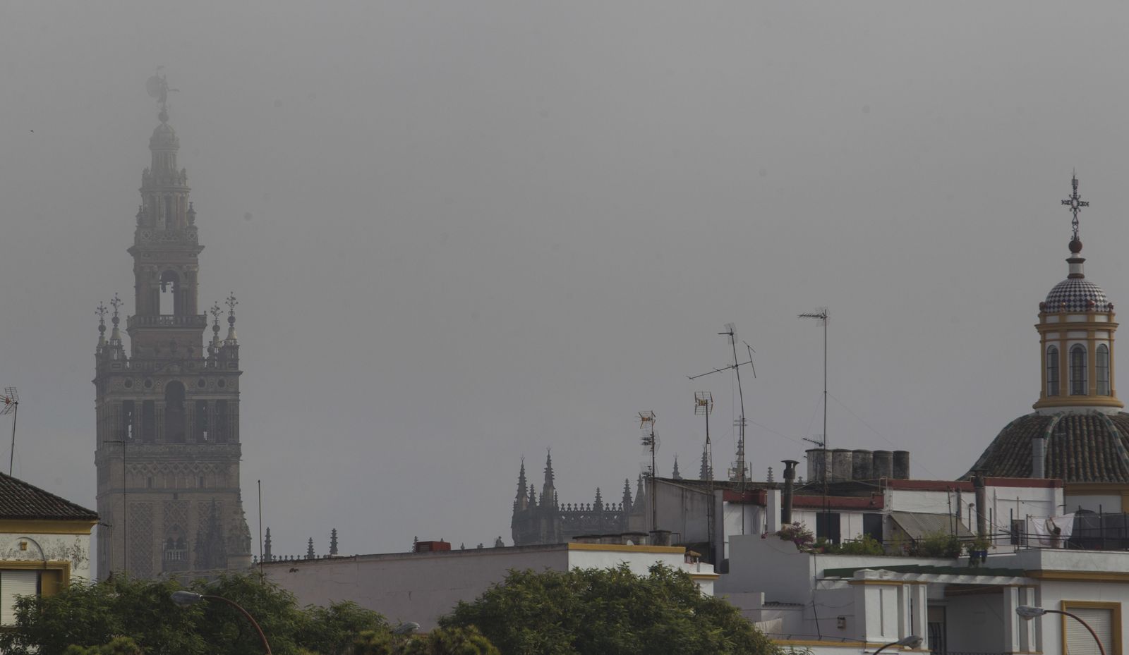 Mañana con niebla en Sevilla