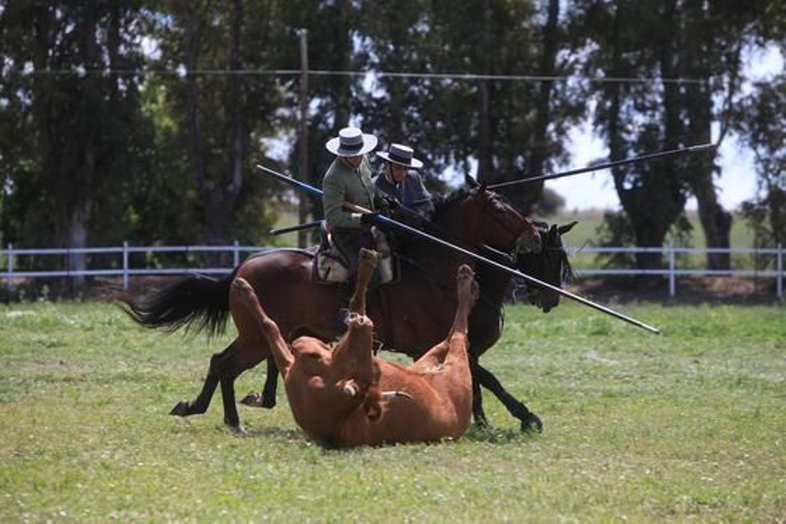 Los jerezanos Tomás y Felipe Morenés se hicieron con un trofeo reñido en un escenario muy recuperado de la lluvia.

Foto: Vanesa Lobo
