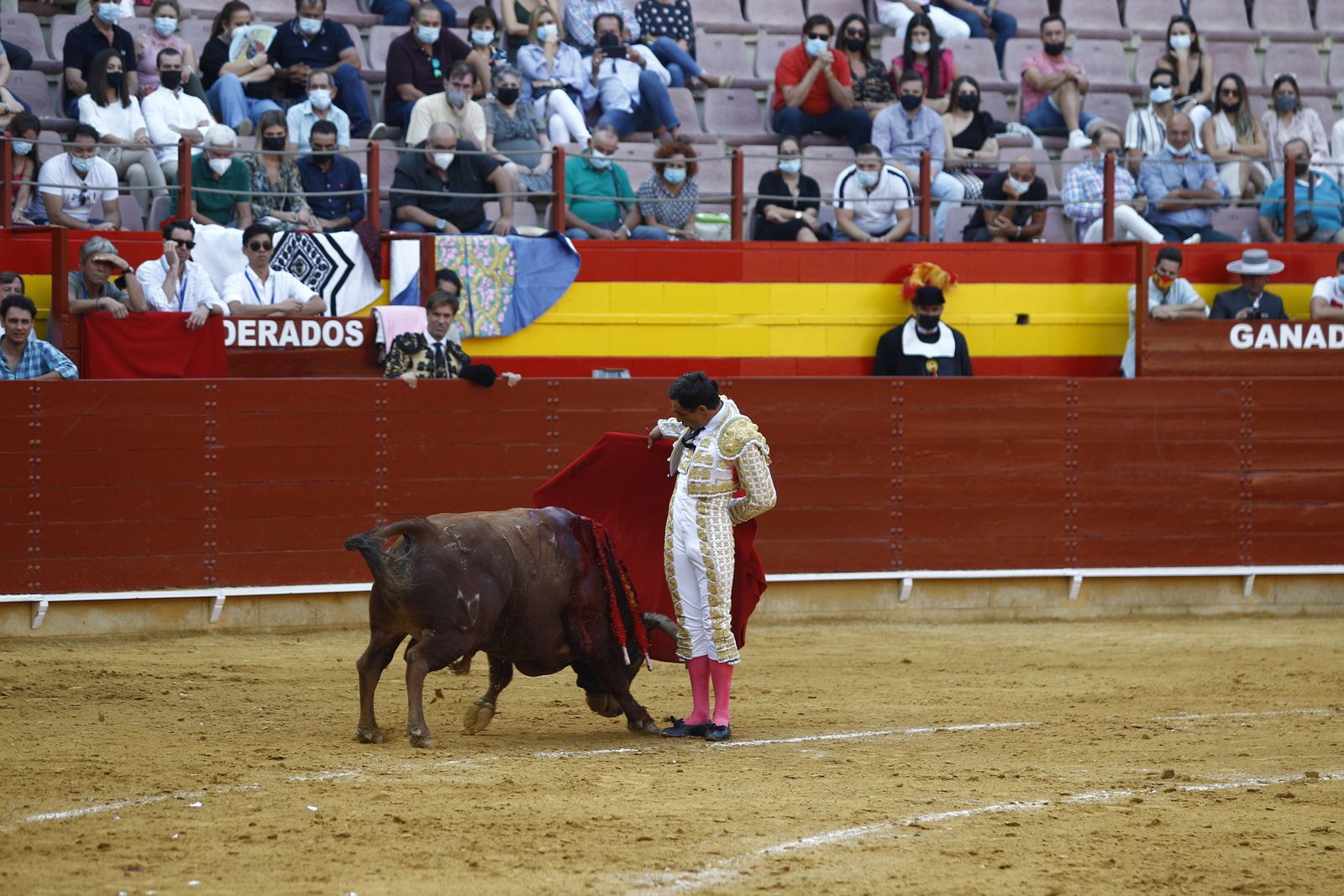 Fotogalería corrida de toros. Cayetano Rivera, Paco Ureña y Roca Rey. Roquetas de Mar.