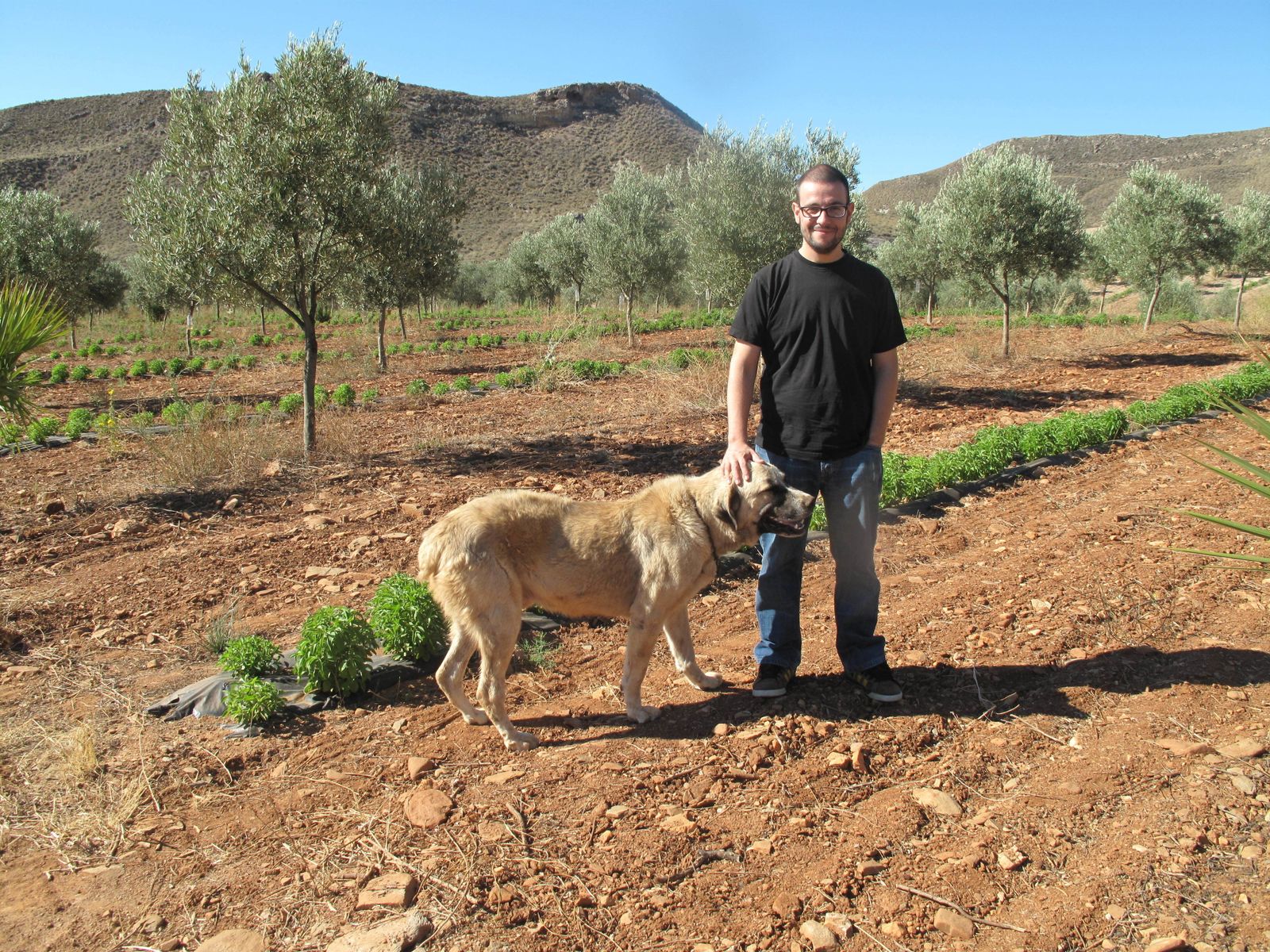 Rafael Alonso Barrau.