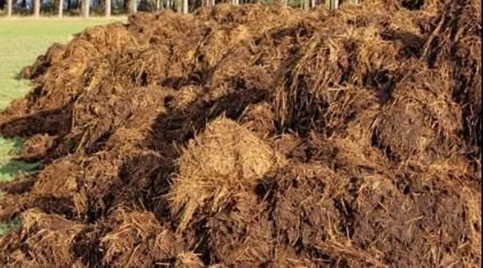 Estiércol de ganado