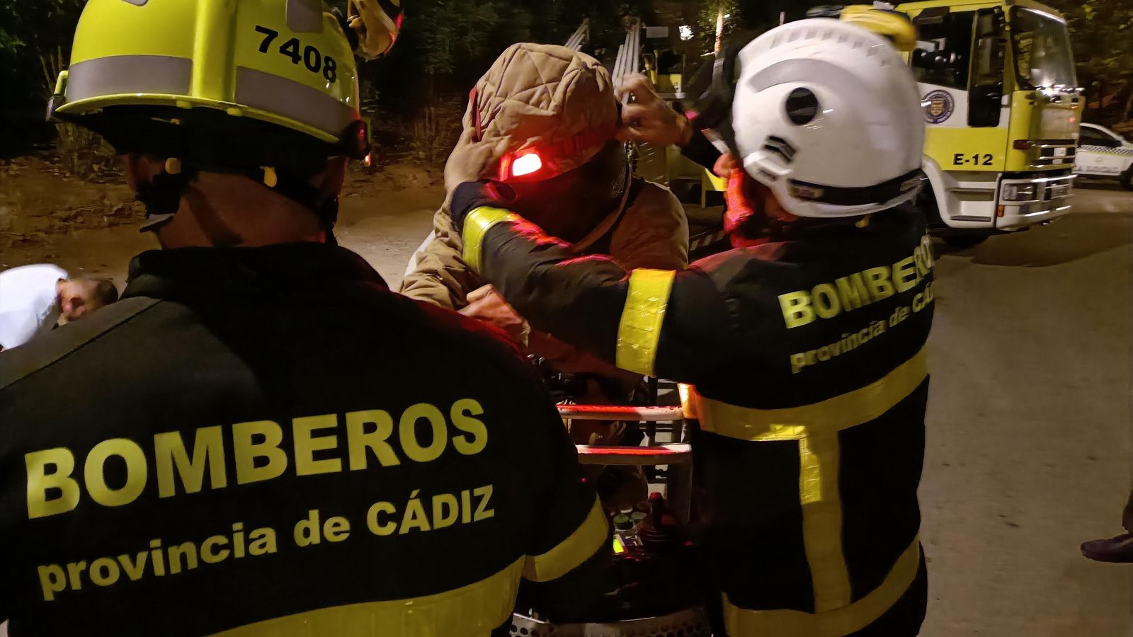 Retirada de un nido de avispón oriental. Retirada de un nido de avispón oriental.