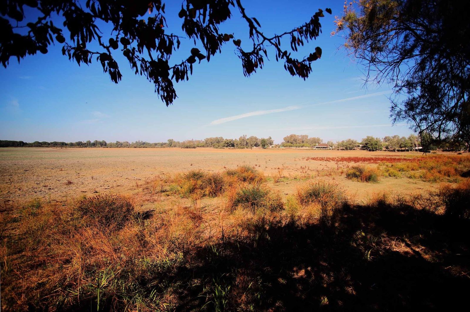 La marisma junto a la ermita de El Rocío seca, en imágenes