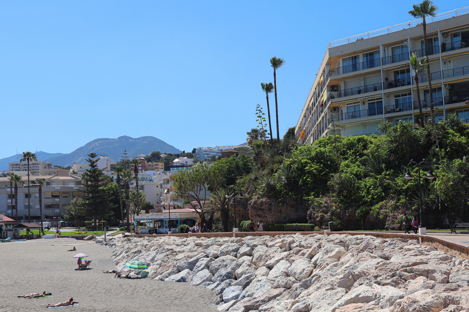 Los nuevos inquilinos en la punta de los gatos de Torremolinos