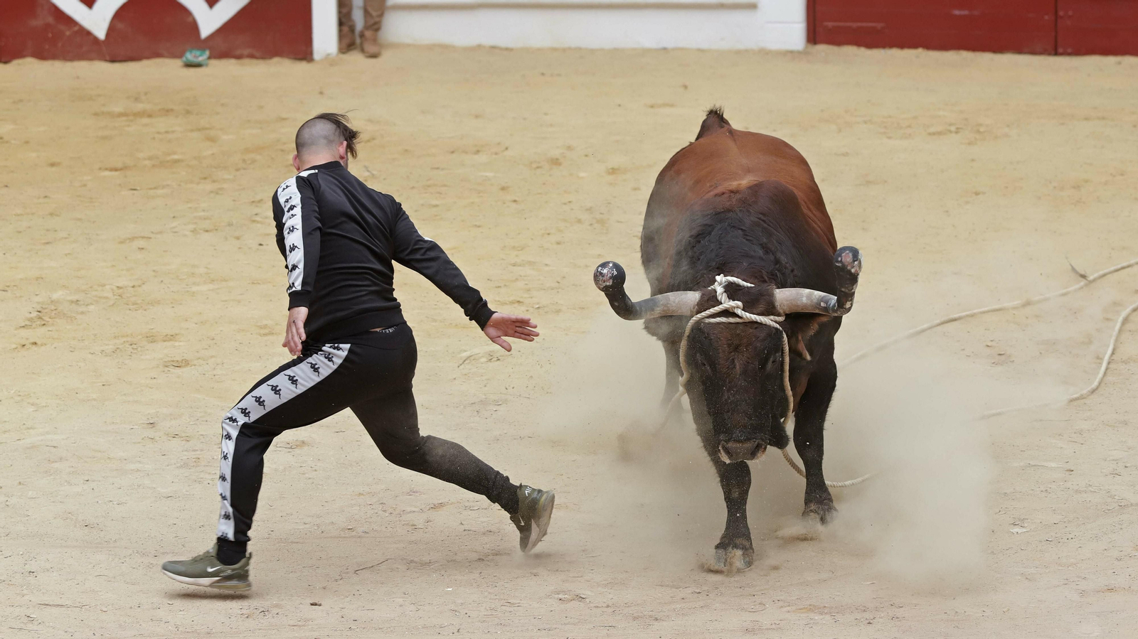 Imágenes del Toro Embolao de Los Barrios