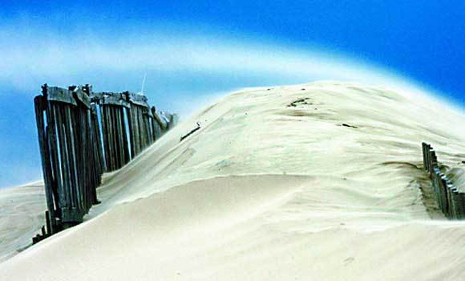 Costas inicia la regeneración dunar de la playa de Cortadura