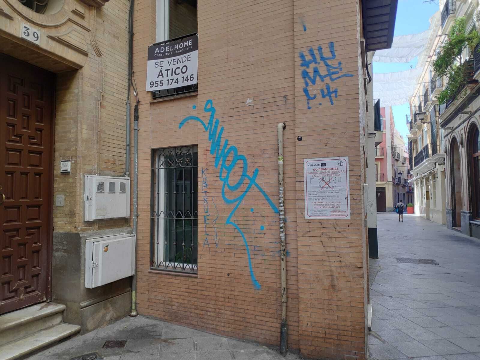 El PP denuncia la "degradación de un casco histórico, inundado de pintadas"