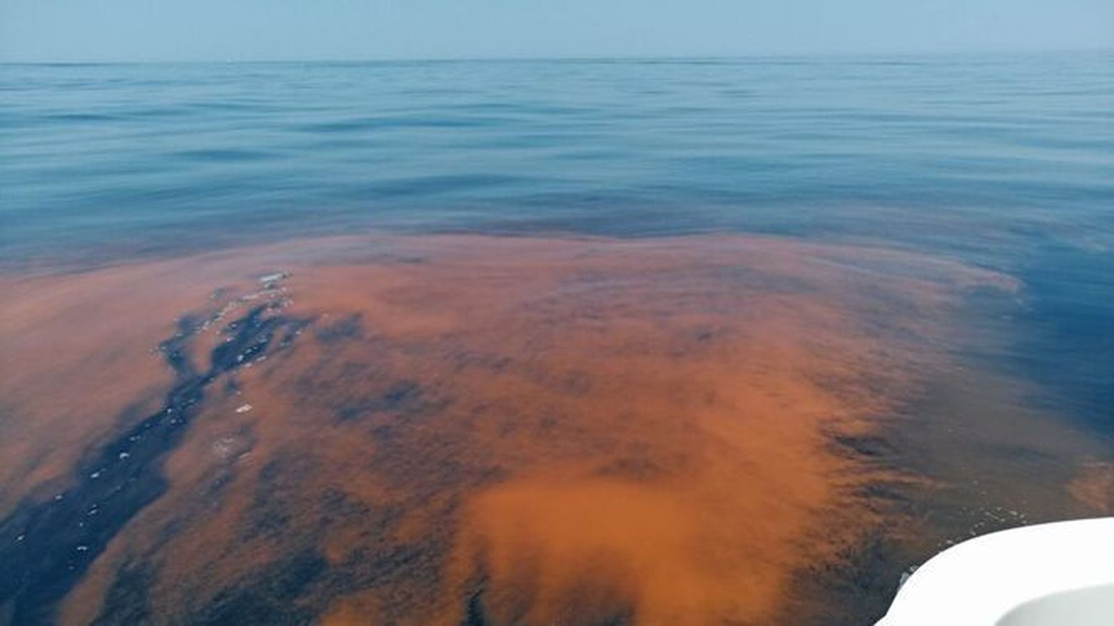 Marea roja frente a El Rompido.