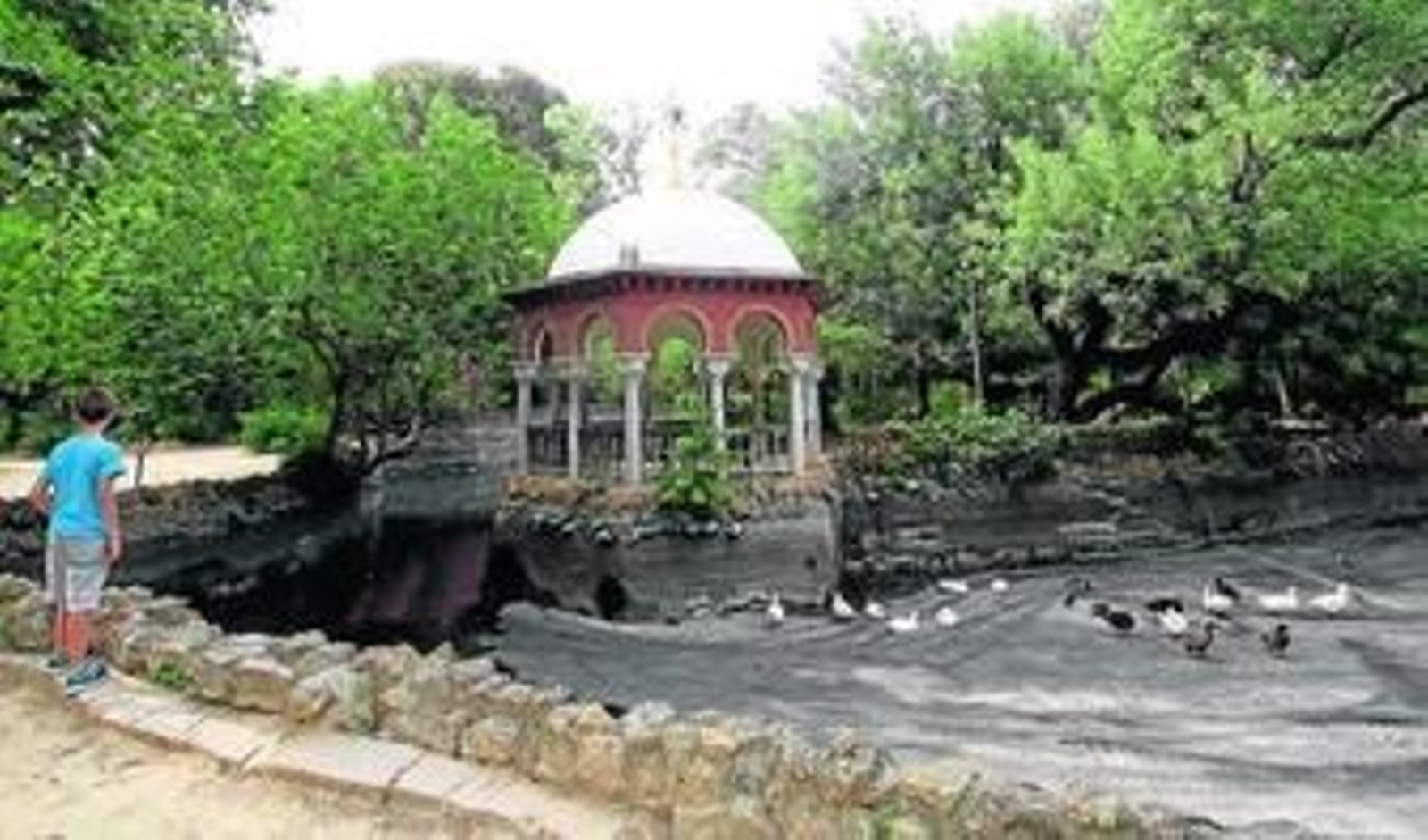 Los patos, el martes, con el estanque vacío.