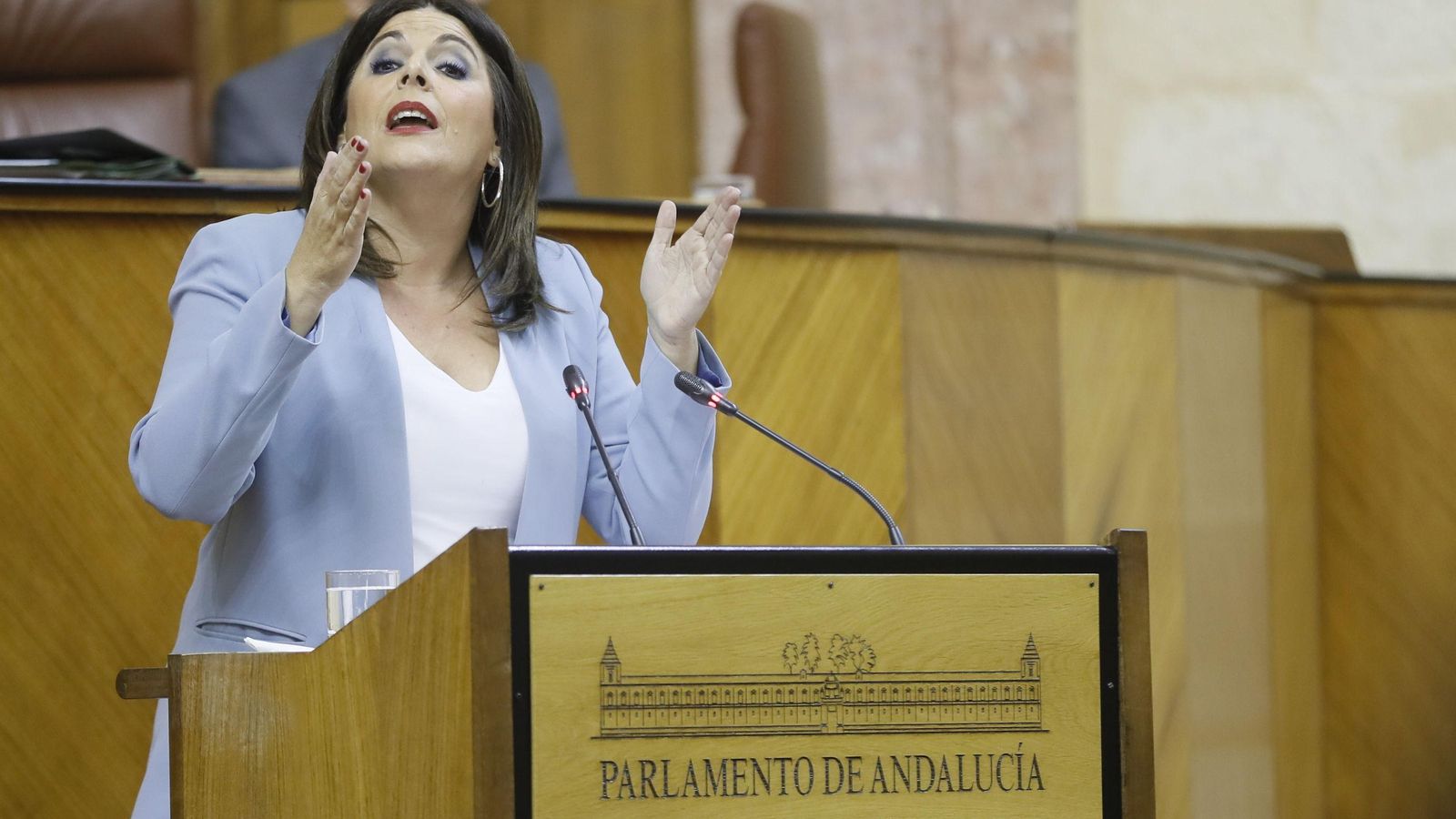 Ángeles Férriz, portavoz del PSOE, rechazó el debate de sus enmiendas.