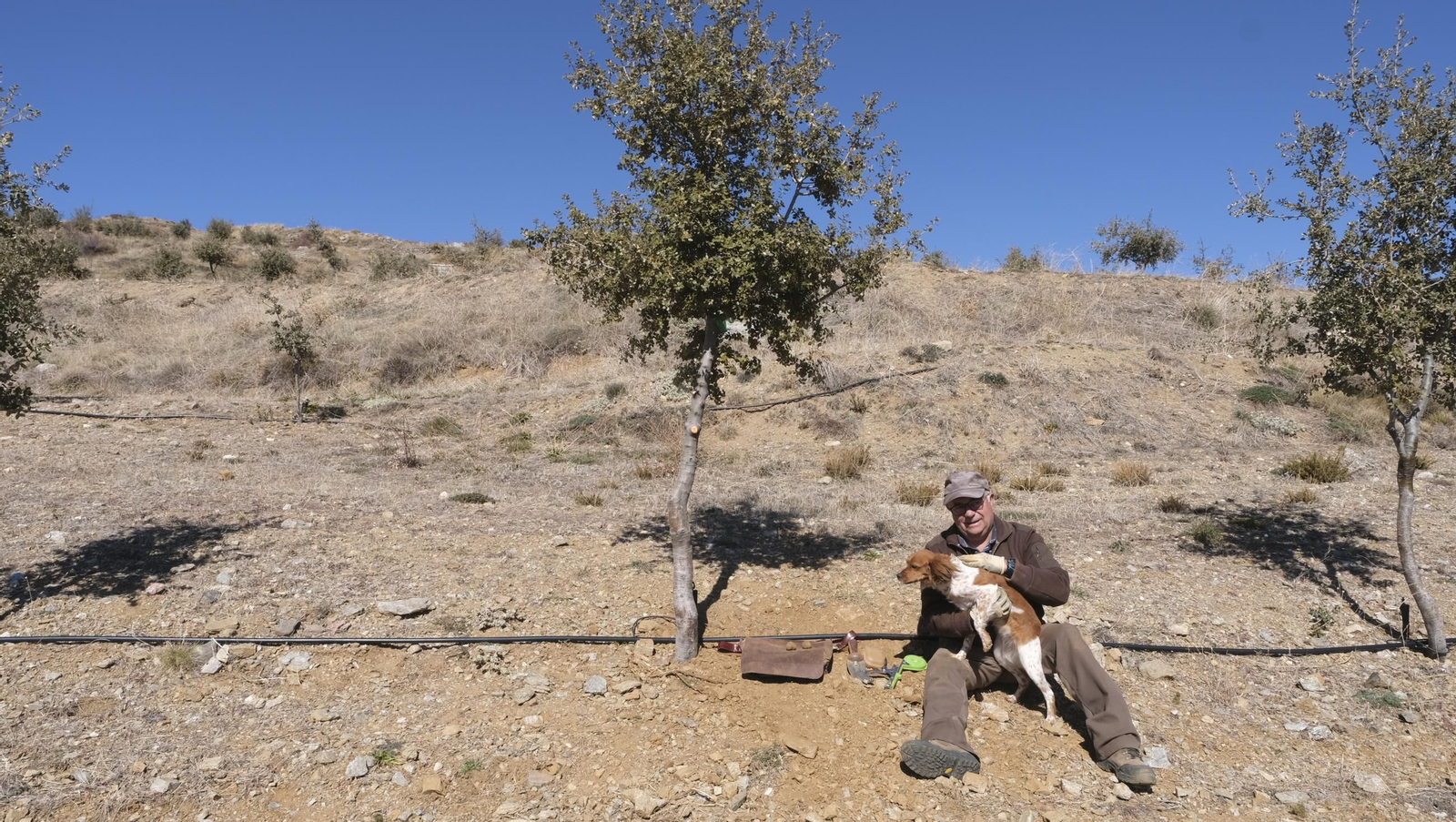 La trufa negra, el tesoro oculto de Laujar, en imágenes