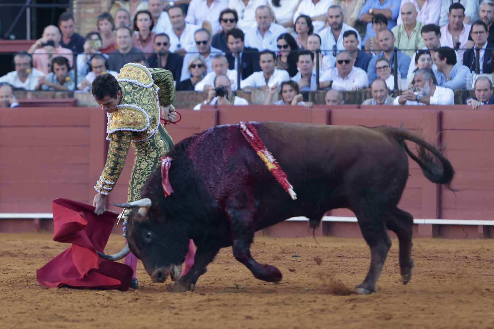 Las imágenes del festejo