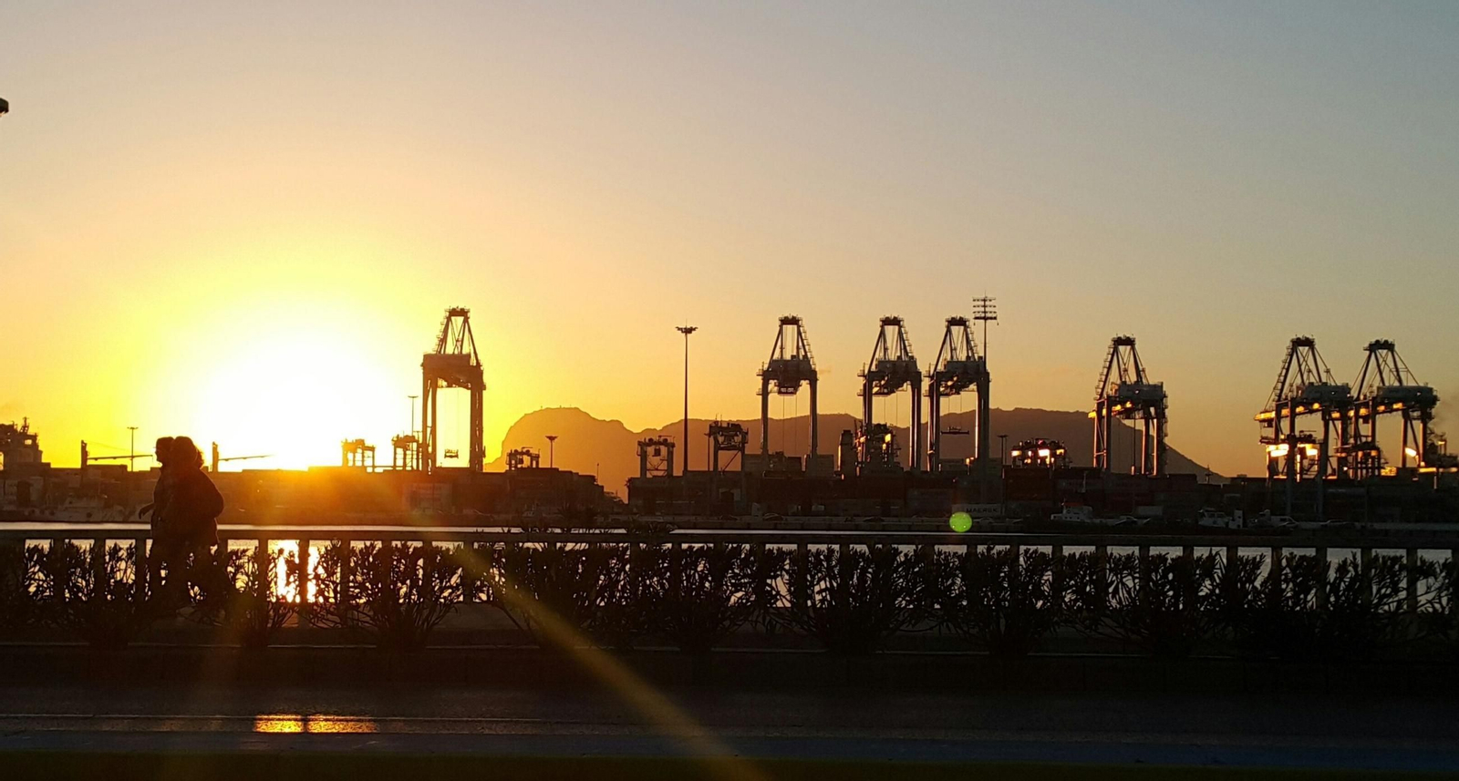 Vista de Algeciras, con su emblemático 'skyline' formado por las grúas del Puerto.
