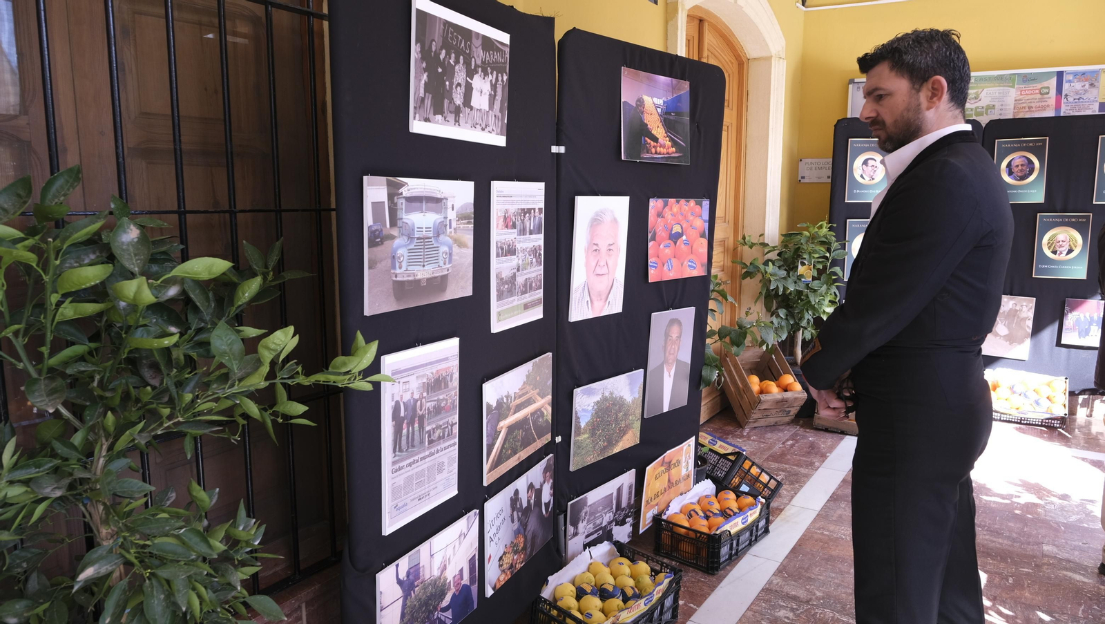 Imágenes del Día de la Naranja, en Gádor
