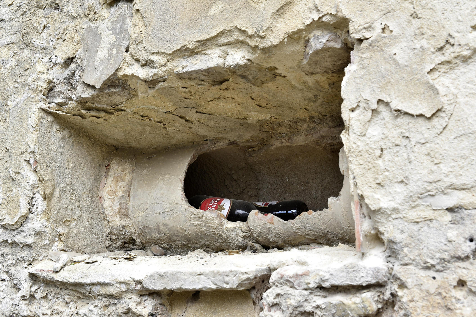 El estado de los Jardines de Murillo, en imágenes