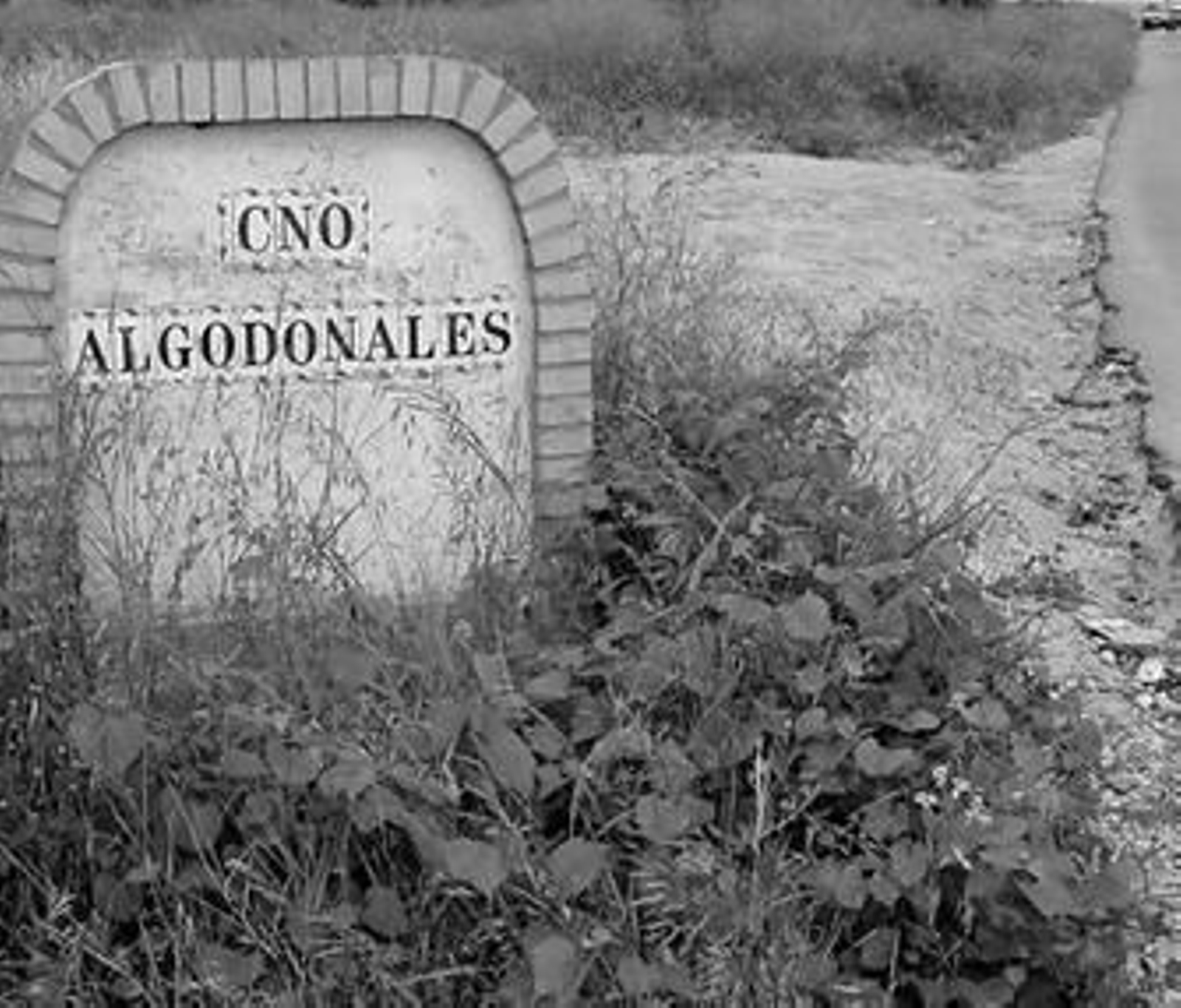 Camino de Algodonales, en Chiclana, donde hay casos de obra nueva.