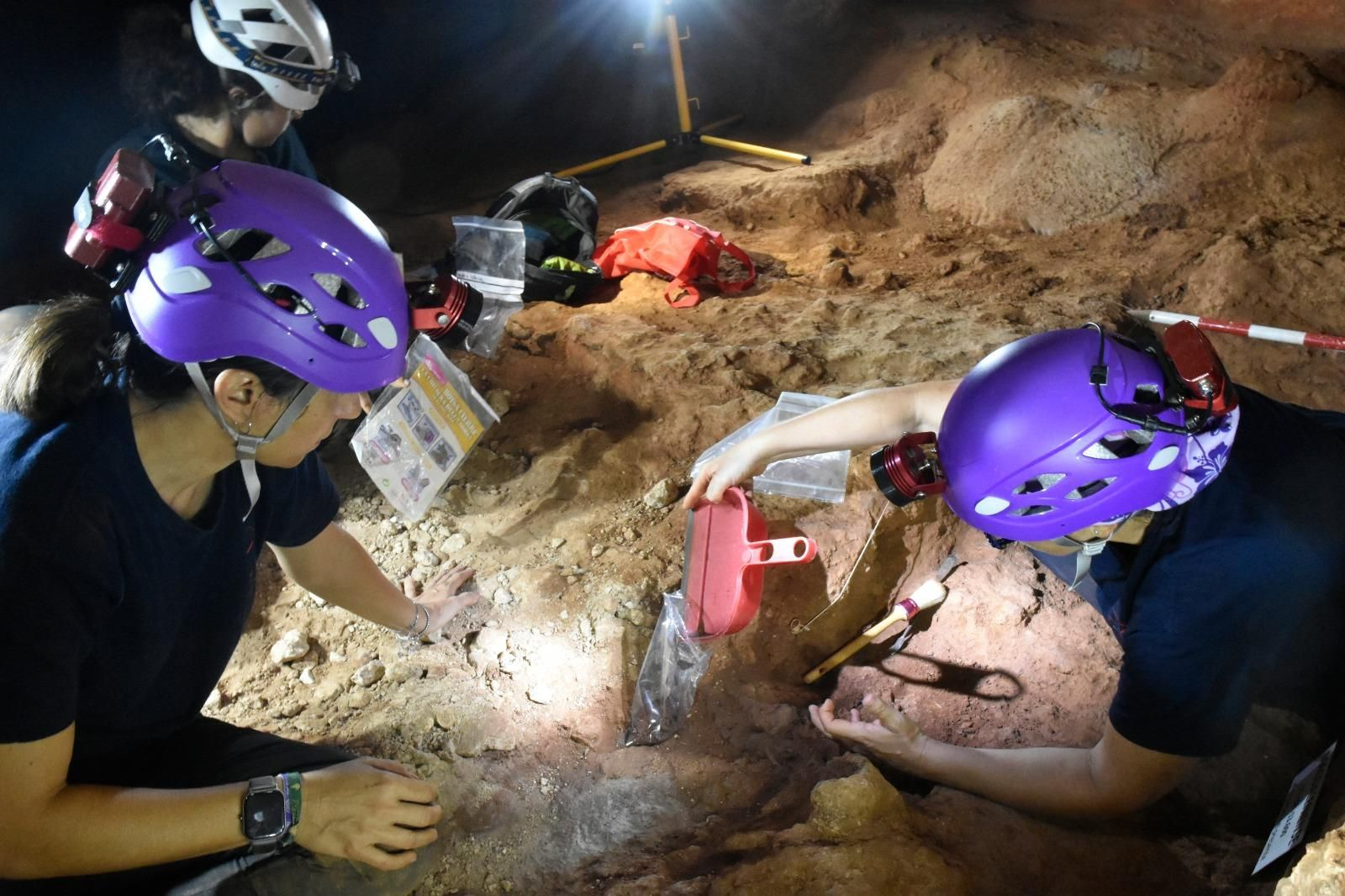 Recogida de muestras por miembros del Instituto de Investigación Cueva de Nerja Recogida de muestras por miembros del Instituto de Investigación Cueva de Nerja