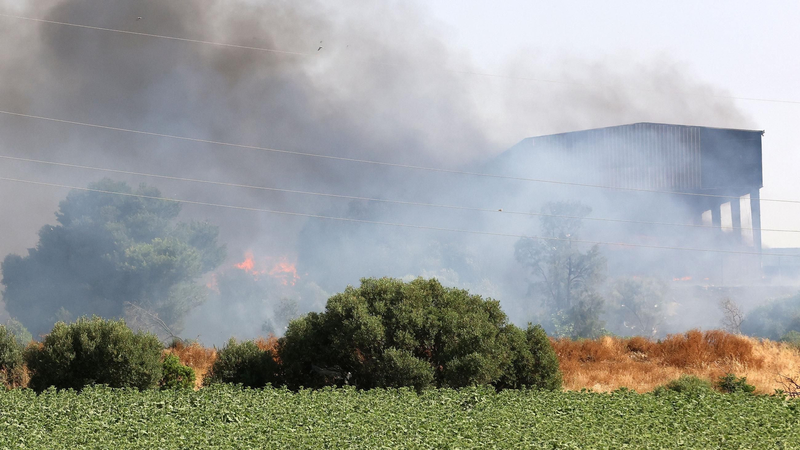 Imágenes del incendio en la planta de Las Calandrias en Jerez