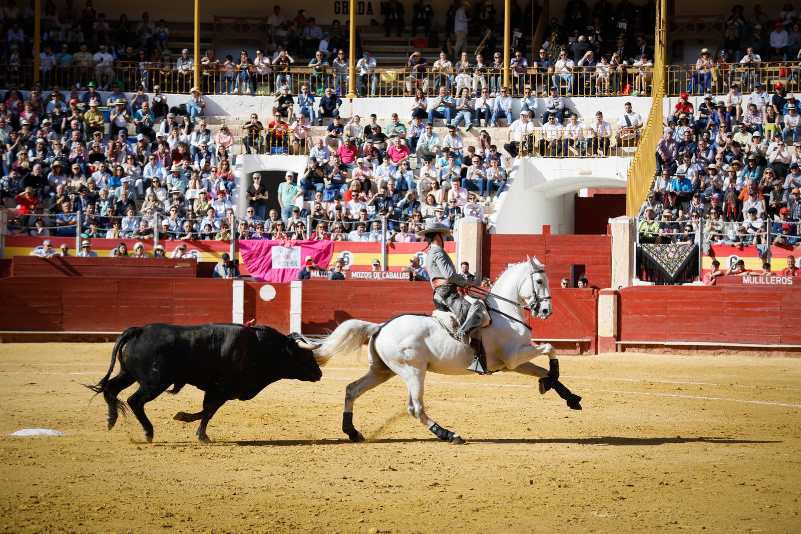 Imágenes del festival mixto lucha contra el cáncer