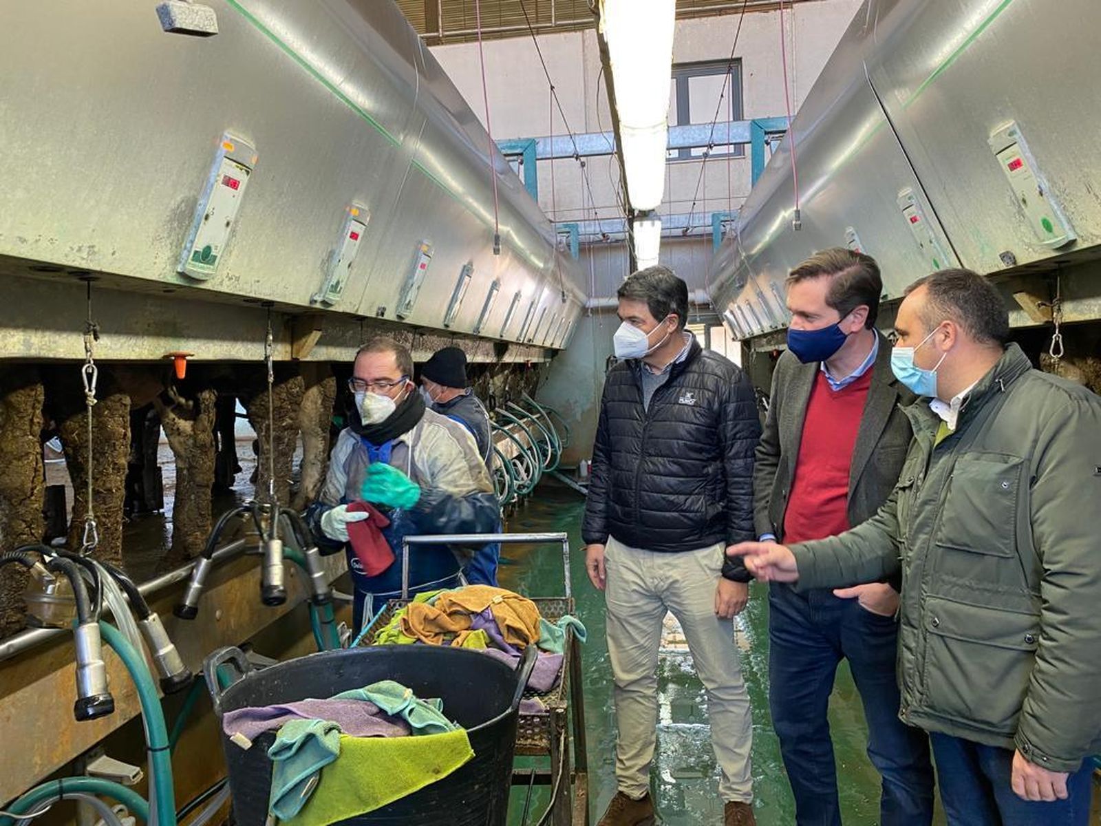 El PP invita a Garzón a conocer en persona la calidad de la carne que se produce en Granada