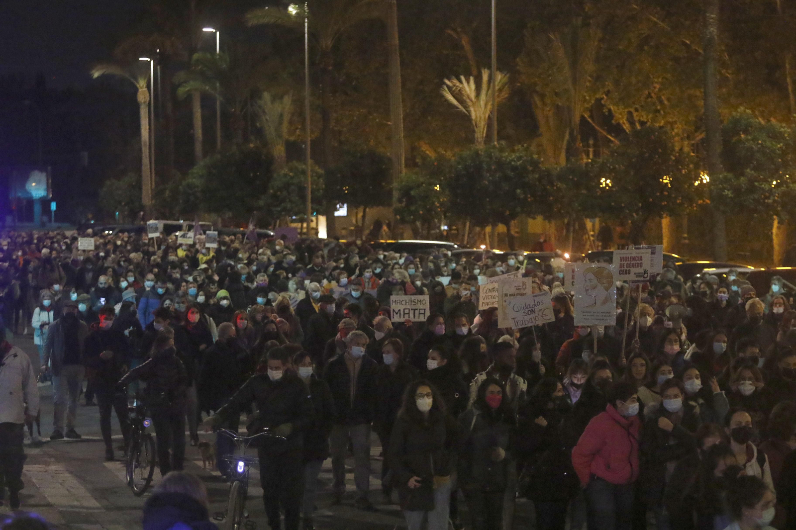 La manifestación contra la violencia de género en Córdoba, en fotografías