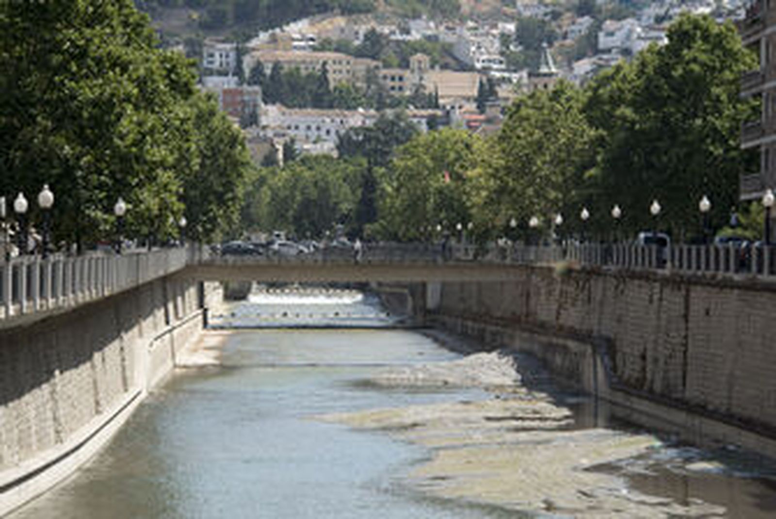 Firman una declaración por una "verdadera renaturalización" del río Genil