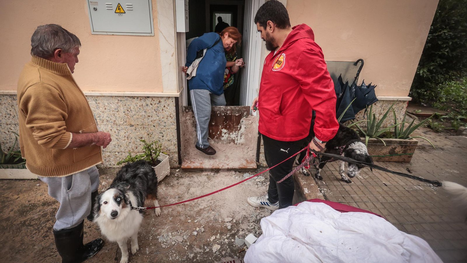 Imágenes del paso de la Dana, inundaciones, destrozos y caos por todo Jerez