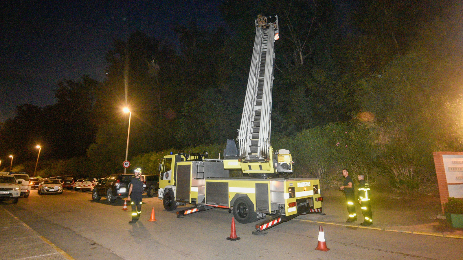 Las fotos de la retirada de un avispero asiático en Los Cortijillos
