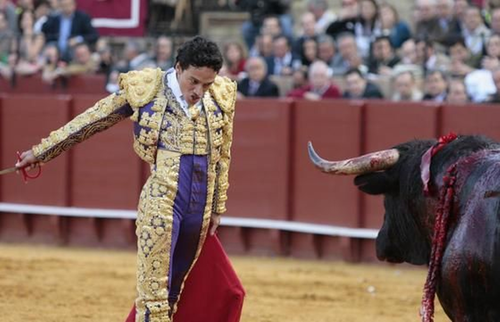 Oliva Soto frente a frente a su astado.

Foto: Juan Carlos Muñoz