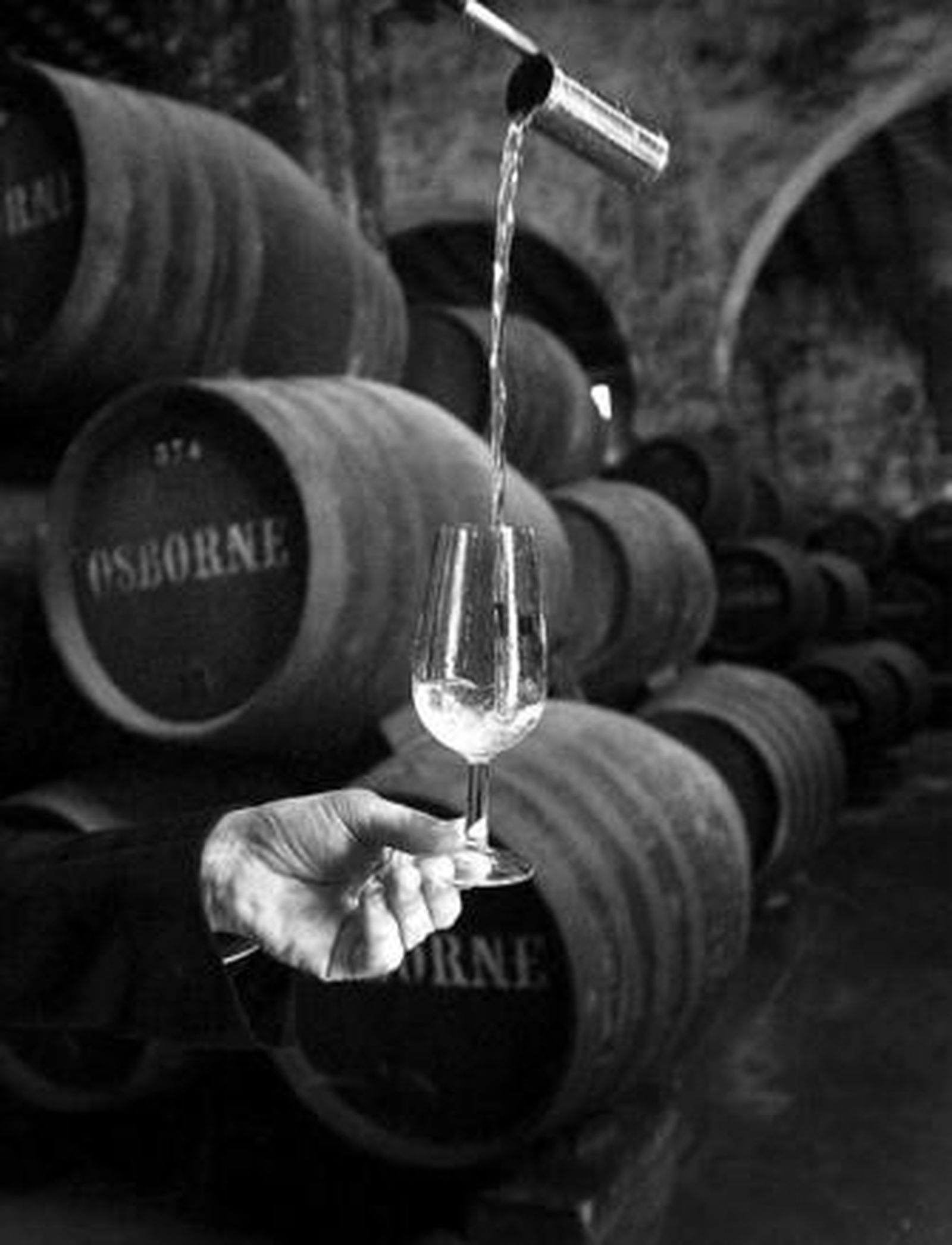 Sólo tres de las mil mayores empresas de España tienen su sede en Cádiz