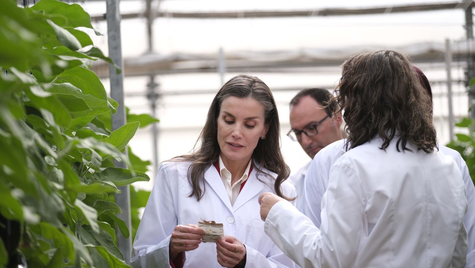 La visita de la reina Letizia a El Ejido, en imágenes