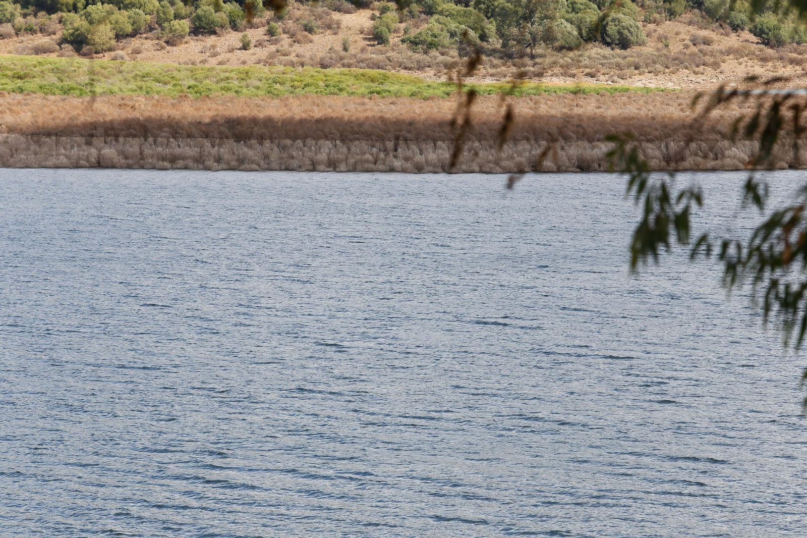 Fotos del pantano de Charco Redondo: de la sequía al 59% de capacidad en solo un año