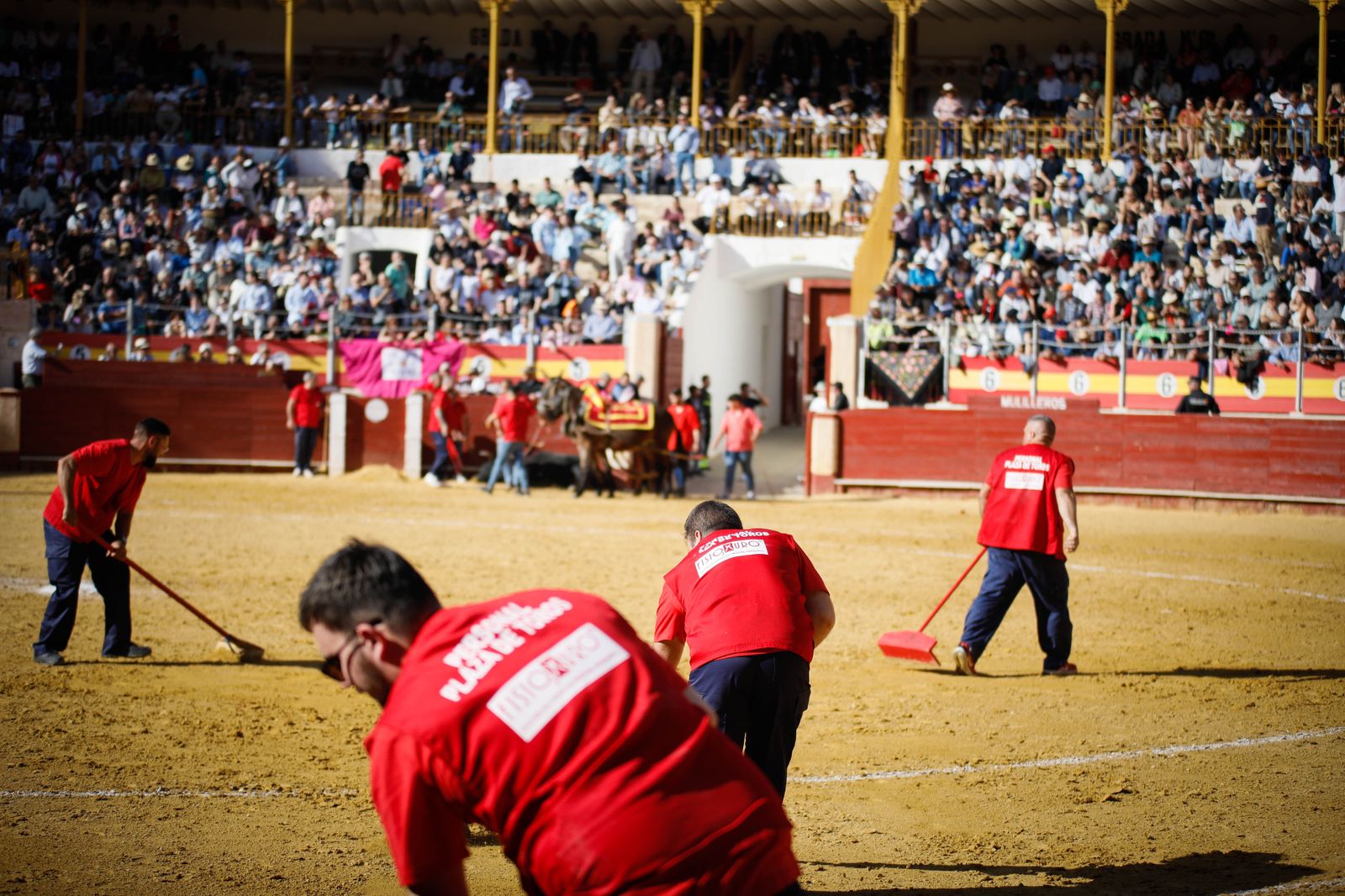 Imágenes del festival mixto lucha contra el cáncer