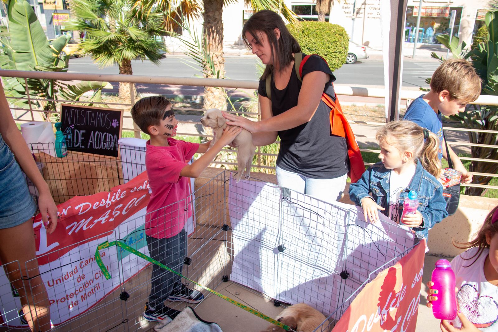 ¿Has estado en el primer desfile solidario de mascotas celebrado en Motril?