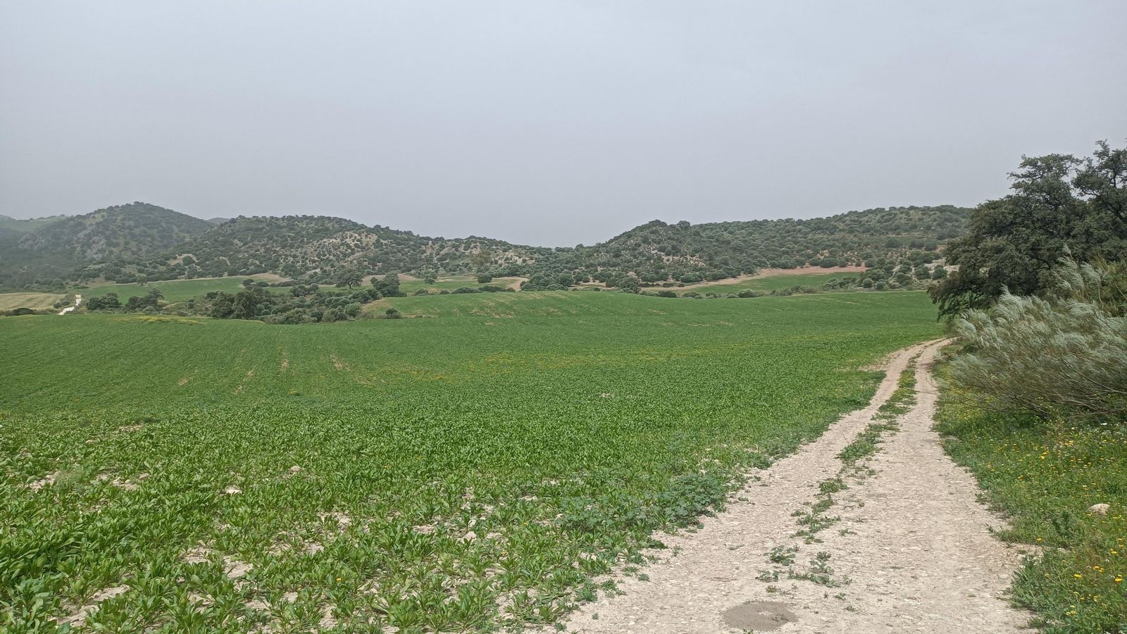 Iremos delimitando un campo de labranza.