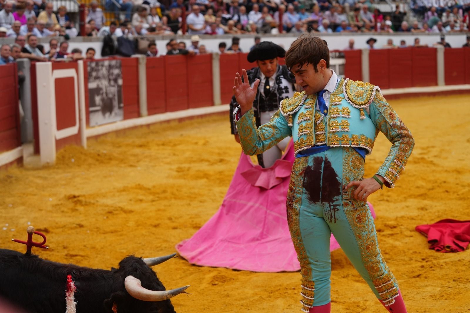 El mano a mano de los novilleros José Antonio de Gracia y El Candela en Pozoblanco, en imágenes