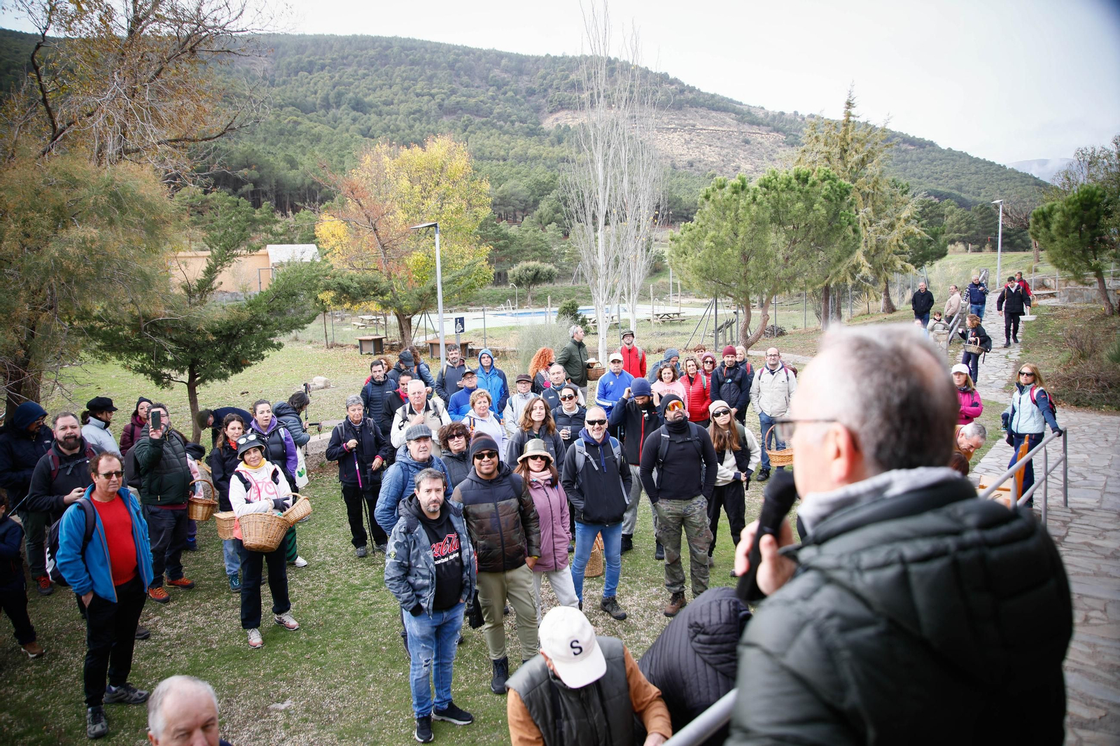 La ruta recolectora de setas en Abla por las XIX Jornadas Micológicas, en imágenes