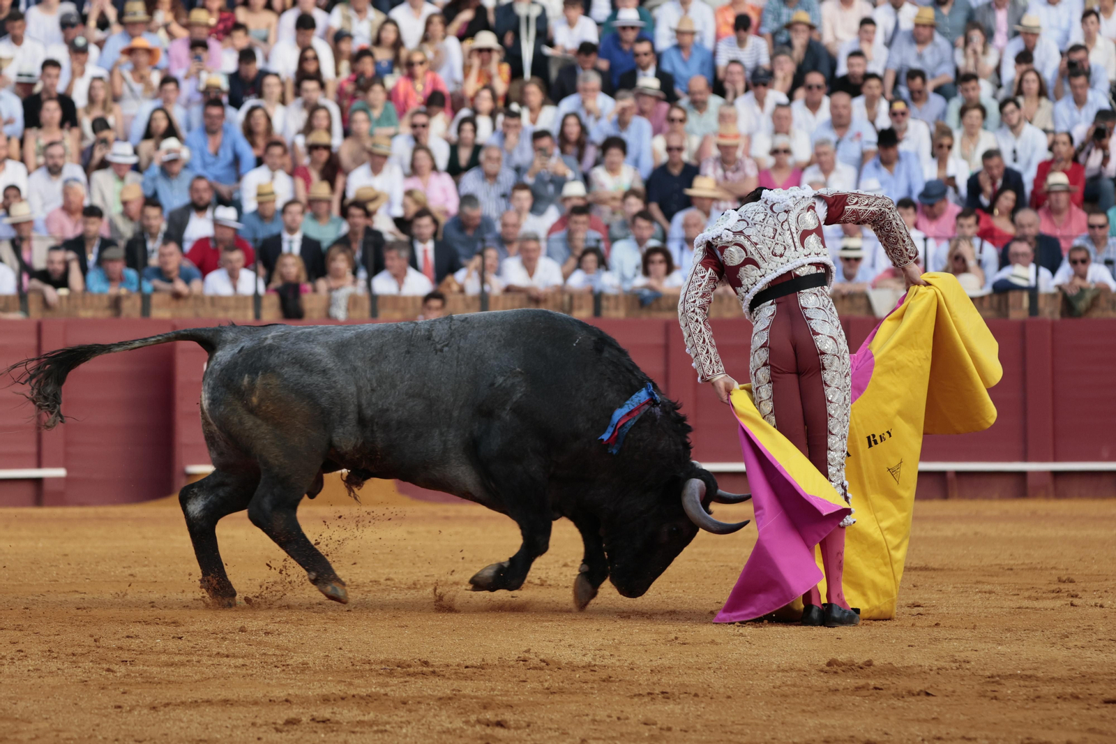 Las imágenes del festejo